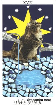 Cat's House Tarot by Hiroko Miyamoto